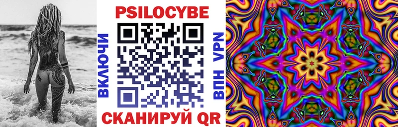 Купить закладки  Кумертау  Галлюциногенные грибы Psilocybe 